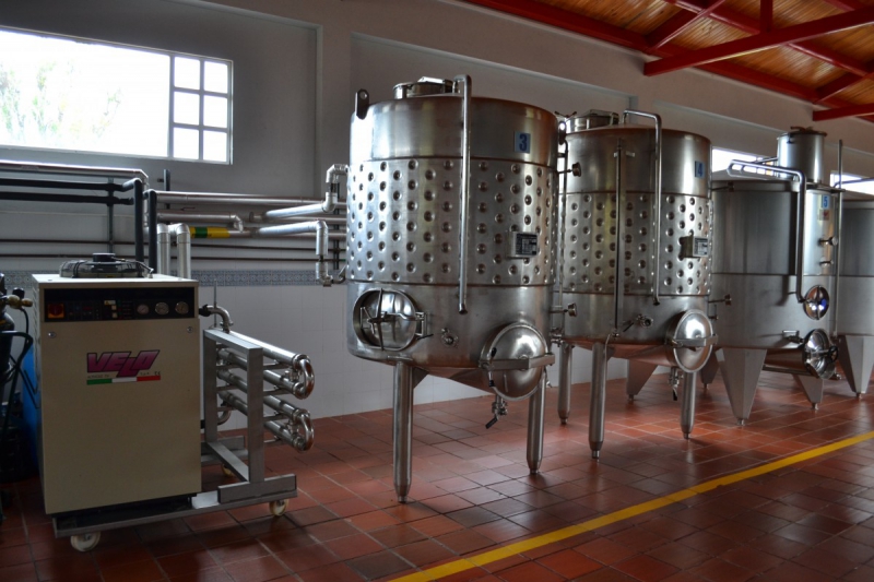 cave-LORGUES-min_wine_production_cantine_winery_drink_alcohol_vine_beverage-902036